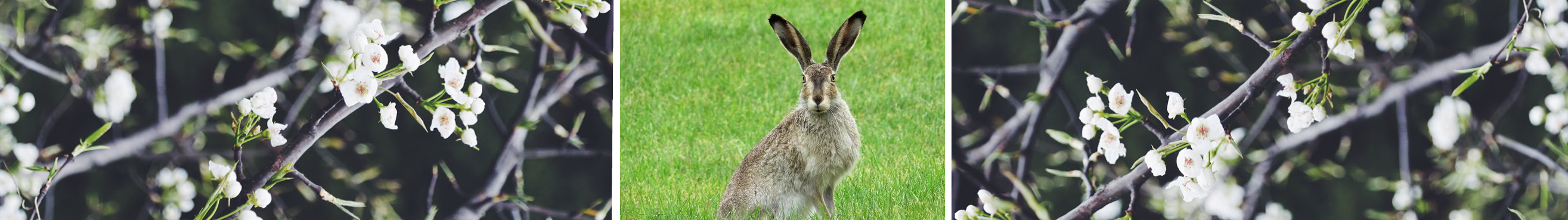 Zu den Kursangeboten der Osterferien